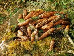 Meditation Meditation