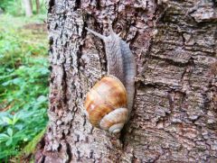 Hoch hinaus Hoch hinaus