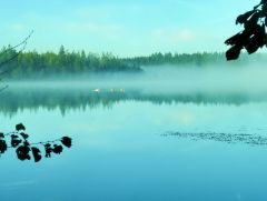 Weiher im Herbst Weiher im Herbst