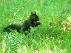 Schlosspark Schlosspark