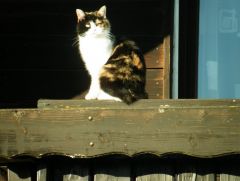 Lieblingsplatz Lieblingsplatz