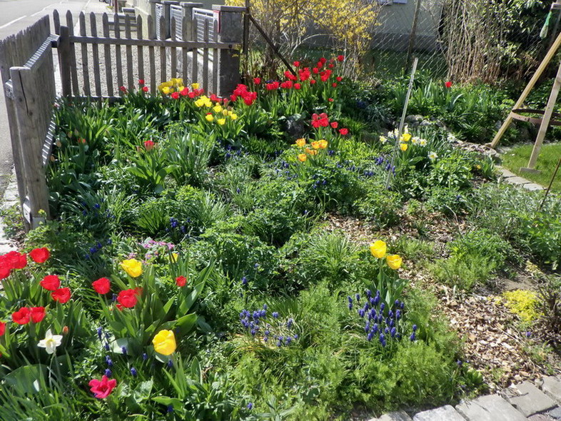 Vorgarten im Frühling