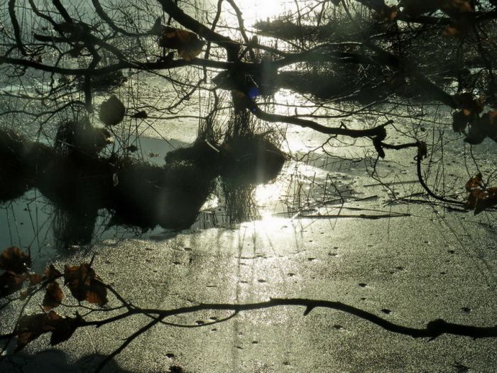 Uferbereich im Sonnenlicht