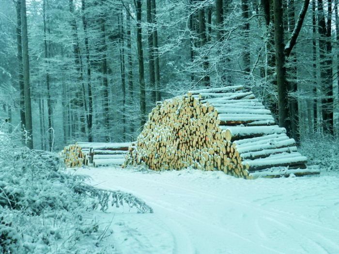 Schnee am 1. Dezember