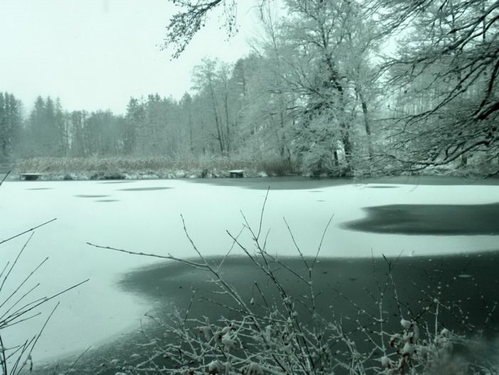 Teich im Winter