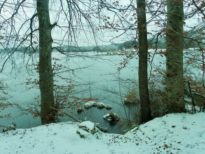 Ufer im Winter