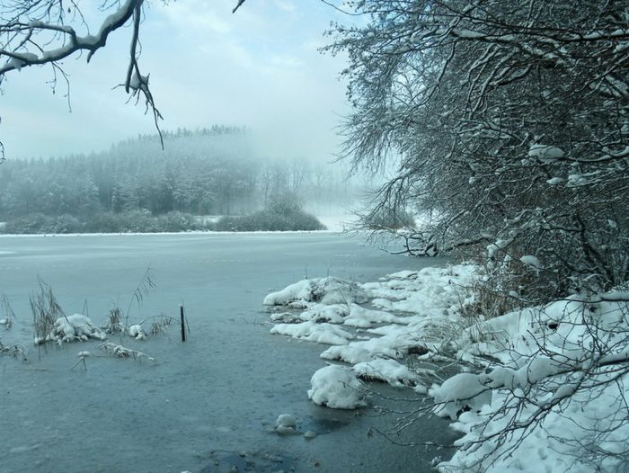 Weiher im Winter