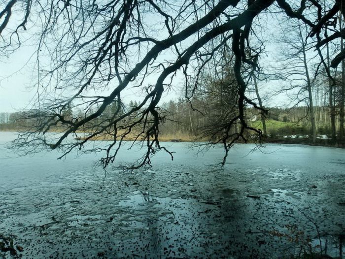 Weiher im Winter
