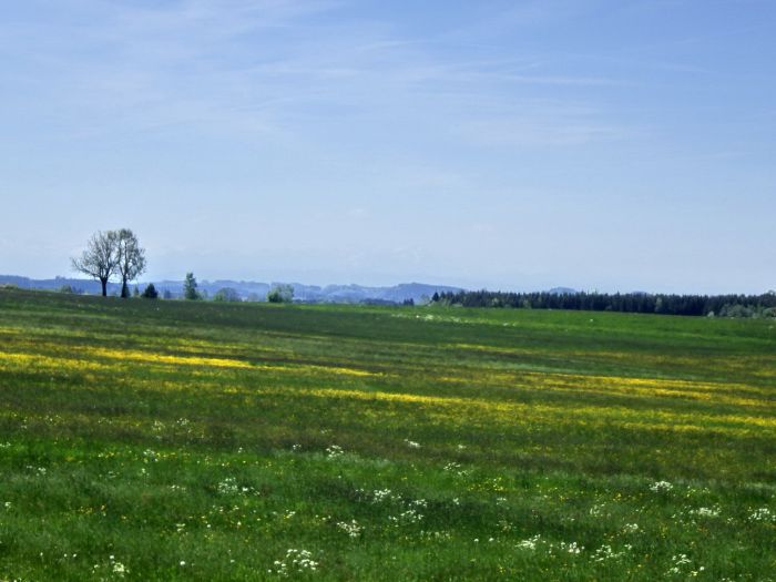 Allgäu