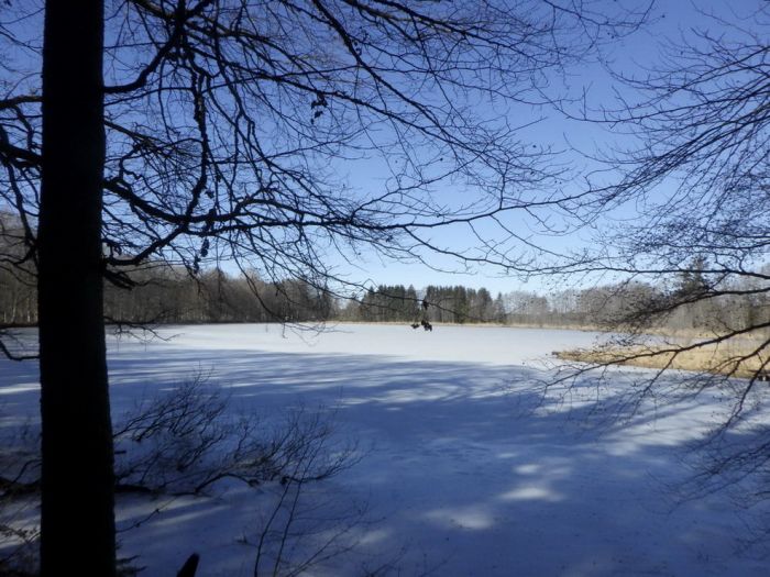 Weiher im Winterkleid
