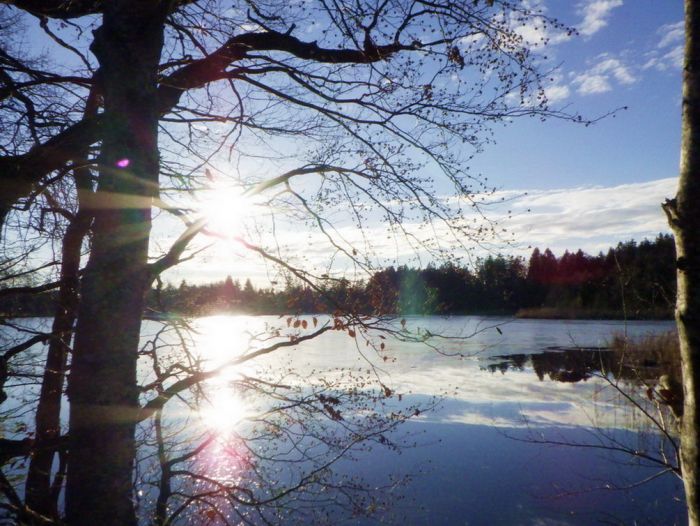 Weiher im Winter