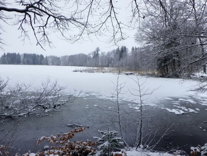 Weiher im Winter