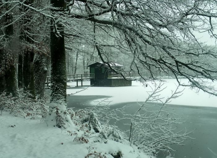 Schnee am 1.Dezember