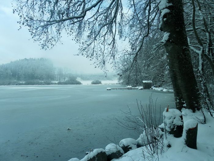 Weiher im Winter