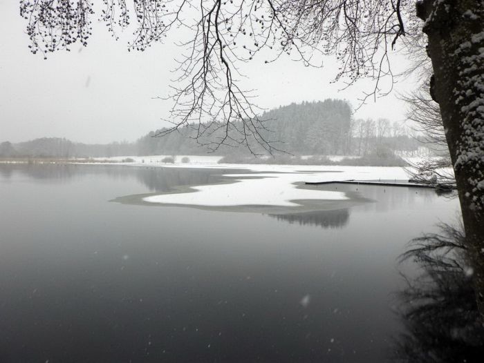 Weiher im Winter