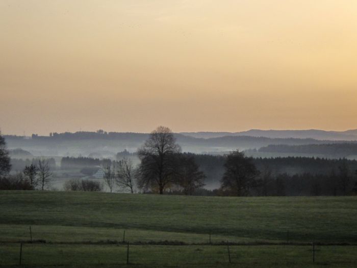 Allgäu im Nebel