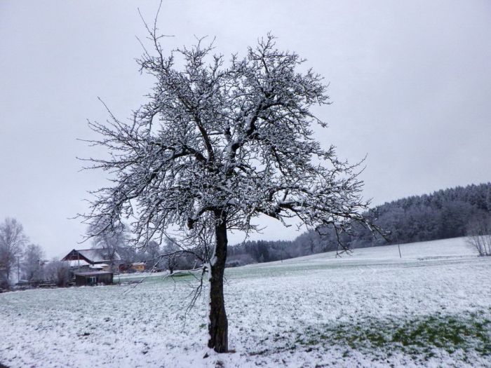 Schnee im Allgäu