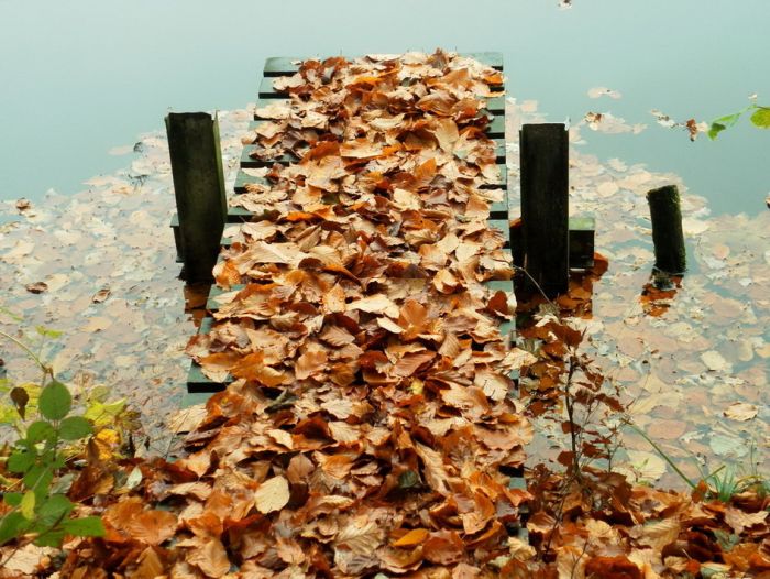 Steg mit Laub