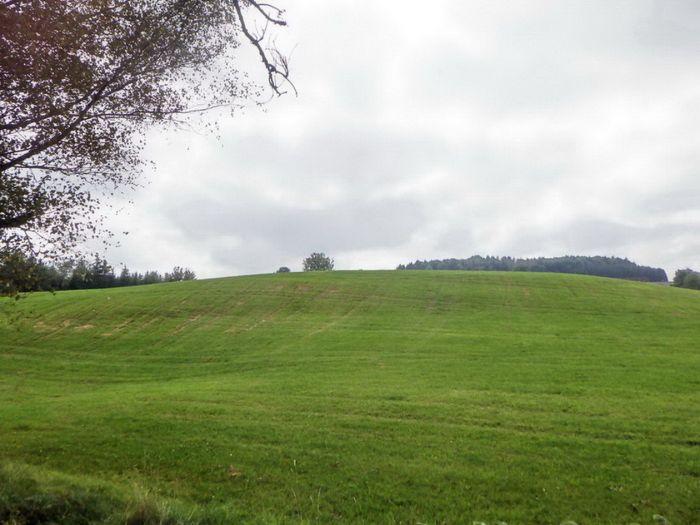 Lichtung im September