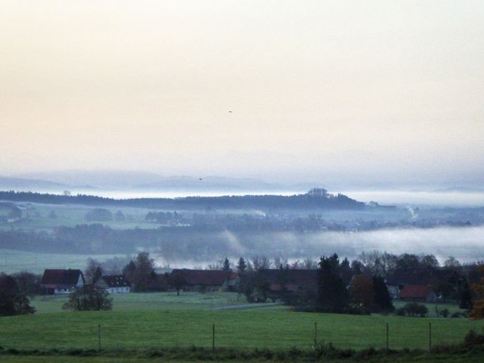 Nebel am Morgen