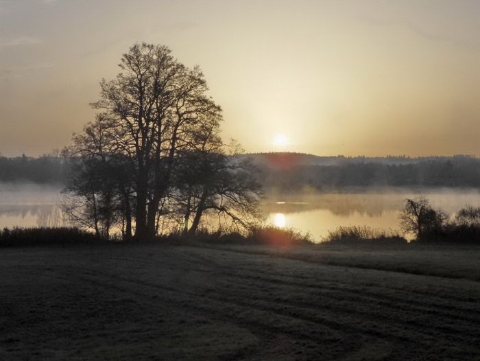 Morgenstimmung am See