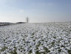 Allgäu im Februar Allgäu im Februar