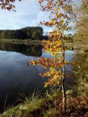 Herbstimpression Herbstimpression