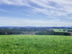 Frühlings - Grün Frühlings - Grün