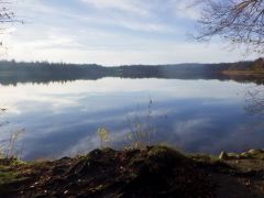 See im Herbst See im Herbst