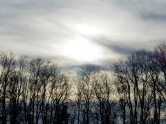 Stimmungsfoto im Dezember Stimmungsfoto im Dezember