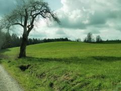 Aprilwetter Aprilwetter