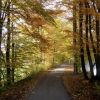 Ufer - Strasse im Herbst