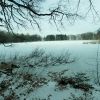 Teich im Winter