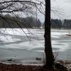 Weiher an Neujahr