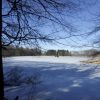 Weiher im Winterkleid
