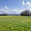 Allgäu 21.04.2021