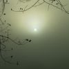 Sonne im Nebel