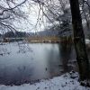 Teich Anfang Dezember