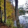 Ufer in Herbstfarben