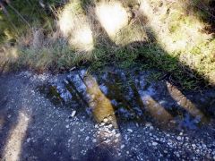 Spiegelung Spiegelung