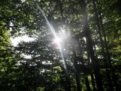 Sonnenstrahlen Sonnenstrahlen