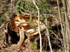 Flurschaden Flurschaden