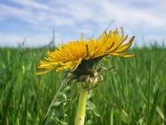 Allgäu im April Allgäu im April