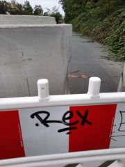 Rex.jpeg Rex.jpeg