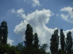 Wolken mit Pappeln