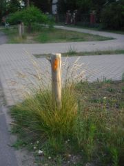 Holzpoller mit Gras