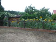 Zaun mit Blumen