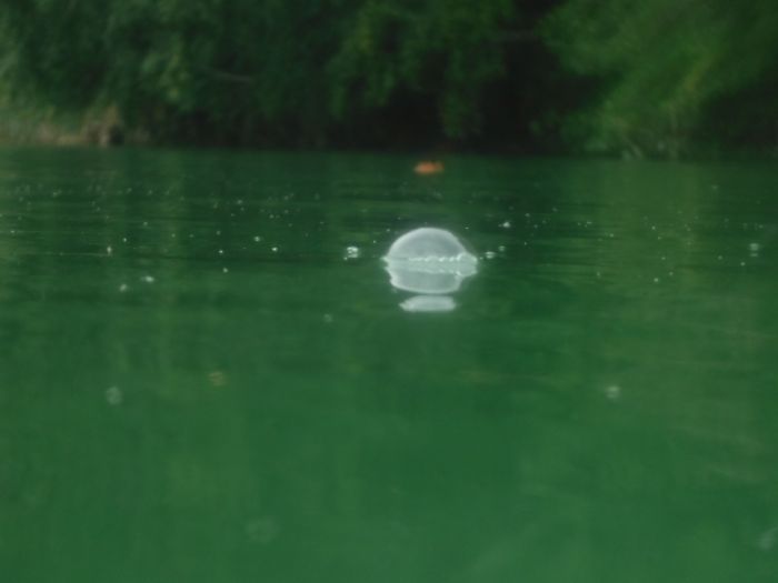 Blase auf dem Wasser