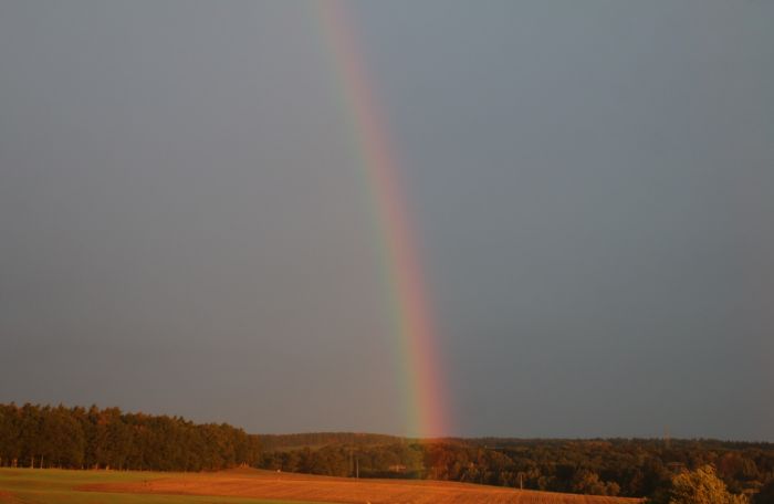 Regenbogen