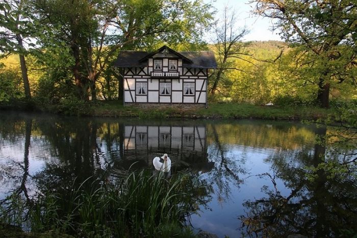 See mit Schwanenhaus und  Schwaneninsel mit Nachwuchs